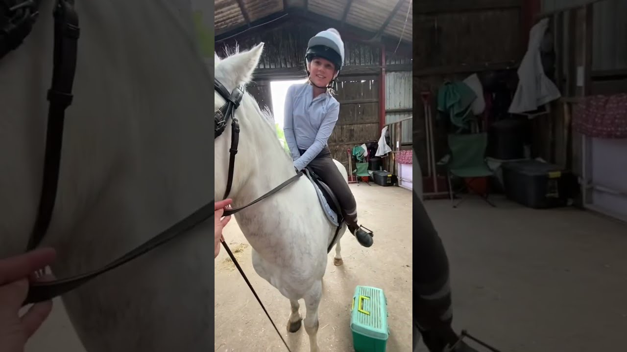 When You Buy Your Child A Horse Horses Ponies Equestrian Equestrianmum