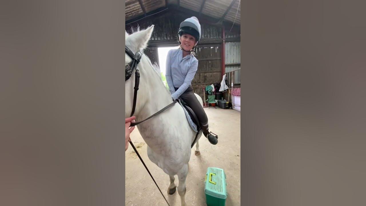 When you buy your child a horse 😂🤣 #horses #ponies #equestrian #equestrianmum