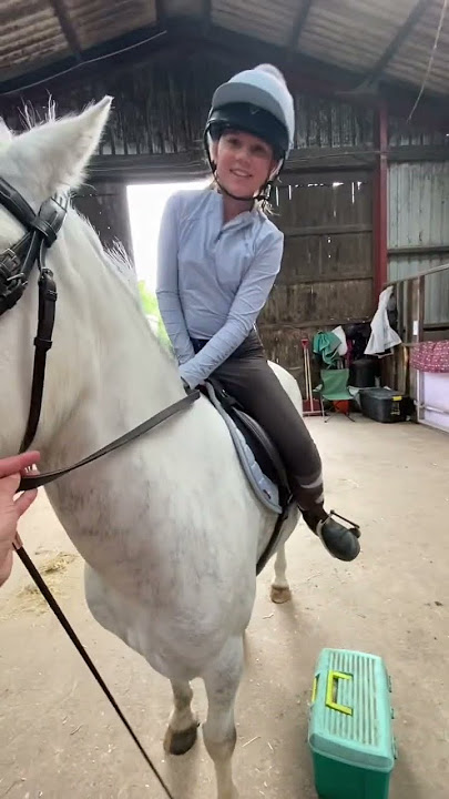When you buy your child a horse 😂🤣 #horses #ponies #equestrian #equestrianmum