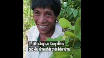 Chứng nhận Quản lý Rừng Quốc tế (FSC) quan trọng như thế nào?