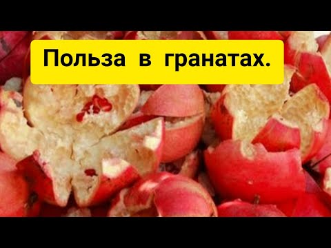 Никогда не выбрасывайте гранатовые корки!