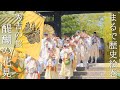 醍醐寺 豊太閤花見行列：京都屈指の花見の名所で歴史絵巻(解説付き）