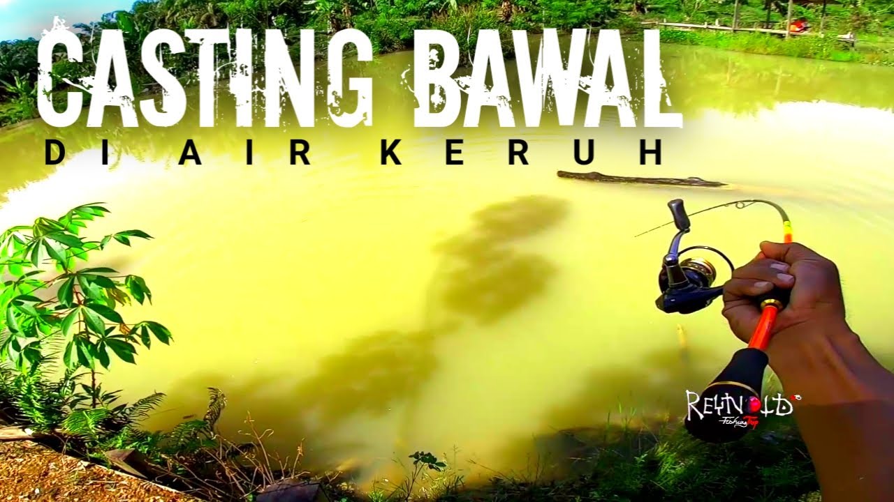 AMAZING CASTING BAWAL