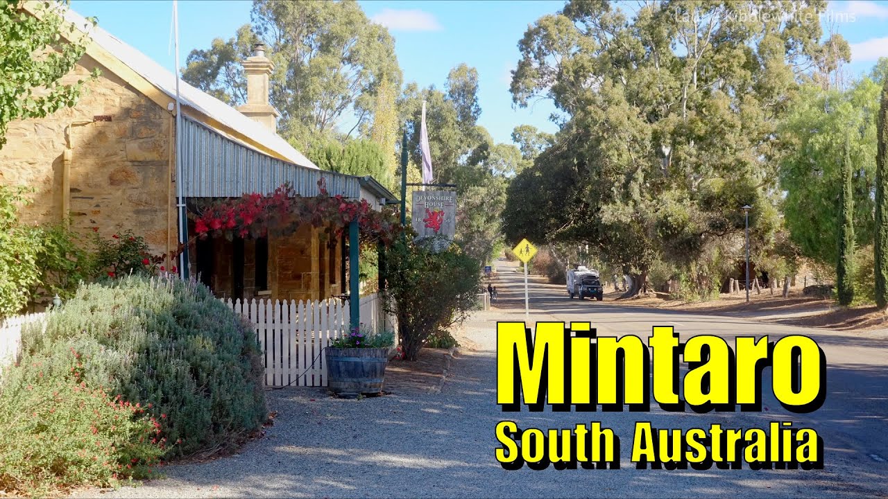MINTARO 2019