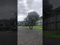 Wheeliesssssssssss #mtb #plssubscribe