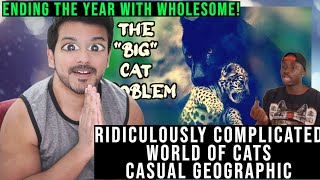 The Ridiculously Complicated World of Cats by casual geographic reaction