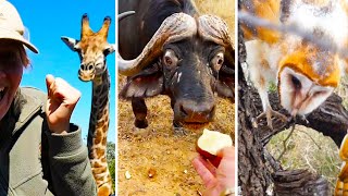 Ozzy Man Reviews: When Animals Fight Back #9