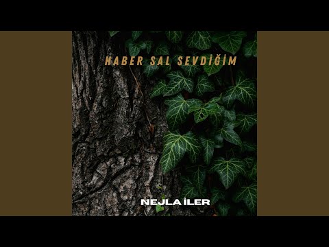 Haber Sal Sevdiğim