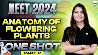 Anatomy of Flowering Plants - One shot | Part 2 | NEET 2024 | Seep Pahuja