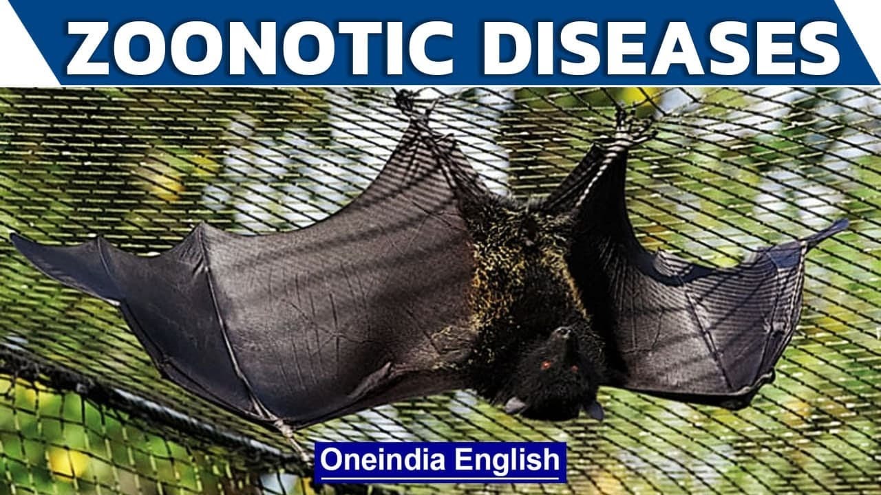 Know All About Zoonotic Diseases | Risk of Serious illness | Oneindia English