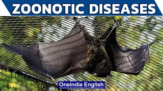 Know All About Zoonotic Diseases | Risk of Serious illness | Oneindia English Update
