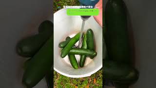 This Is So Funny L Couldnt Stop Laughing funnydoddlersoftiktok funnystrend