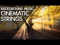 Amazing & Beautiful Cinematic Background Music For Videos