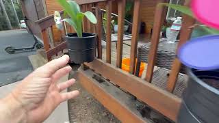 Bloem RailScapes Railing Planter Clips: Hanging Planters on the Balcony