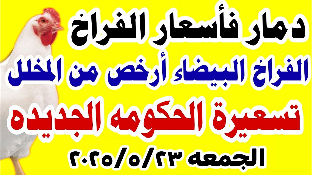 اسعار الفراخ اليوم/ سعر الفراخ البيضاء اليوم الجمعه  23-5-2028 في مصر جمله وقطاعي