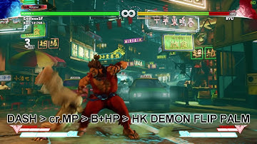 SFV Akuma Quick Tech Showcase #1 - 3 counter hit meaty setups