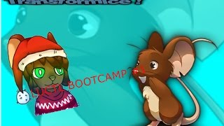 Transformice - Luctl bootcamp