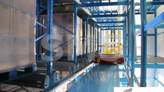 Storage Management Systems - FAM System - Fully Automated Pallet Mole Shuttle System