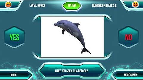 Visual Memory Test - Brain Training Game