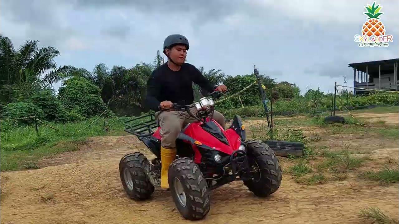 ATTRACTION IN SKY LADDER PINEAPPLE FARM, LUKUT PORT DICKSON YouTube