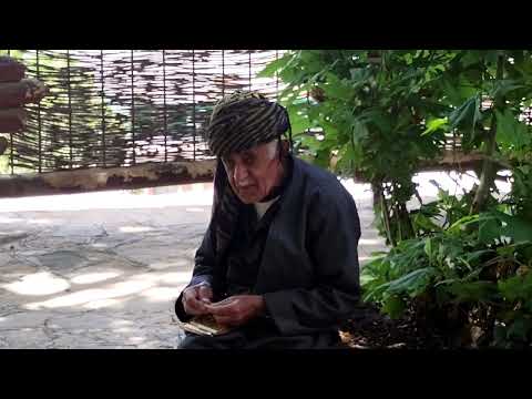 حوزەلارە نوسود