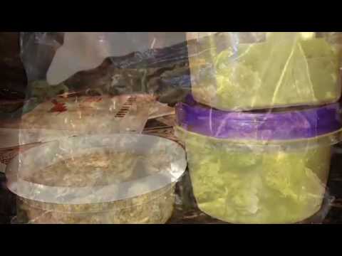 How to Make Weed Wasabi Mashed POTatoes