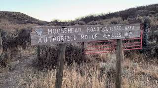 Moosehead Mountain Colorado Game Unit 10