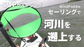 コスパ最強！？ 激安カヤックセイル(WindPaddle)を使ってSUPで河川を遡上して遊ぶ！