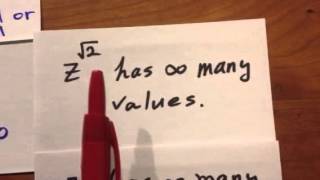 Complex Power Function 19 Case 3 Exercise i