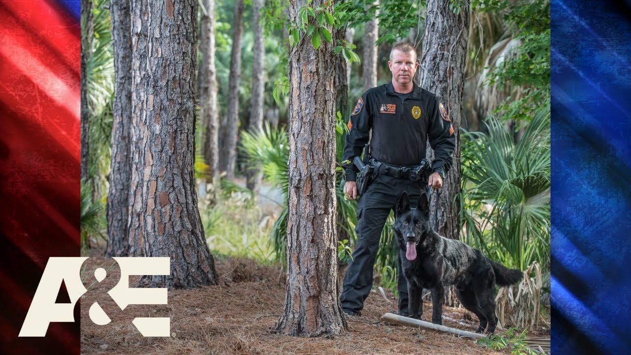 Police Dog Handlers Share Why They Became K9 Officers America's Top