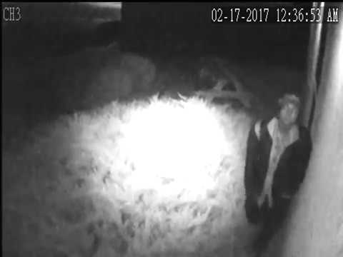 2017-02-18 Video Camera Thief (Part 1) - YouTube