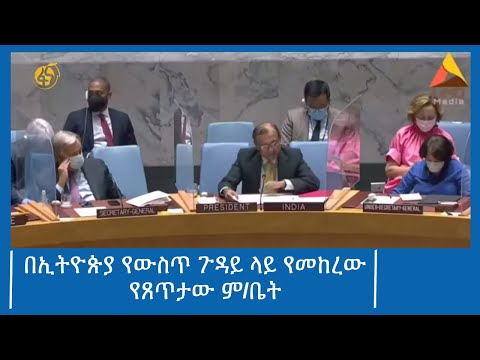 በኢትዮጵያ የውስጥ ጉዳይ ላይ የመከረው የጸጥታው ም/ቤት