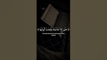 تلاوة هادئة  اكتب شي توجر عليه 😴❤