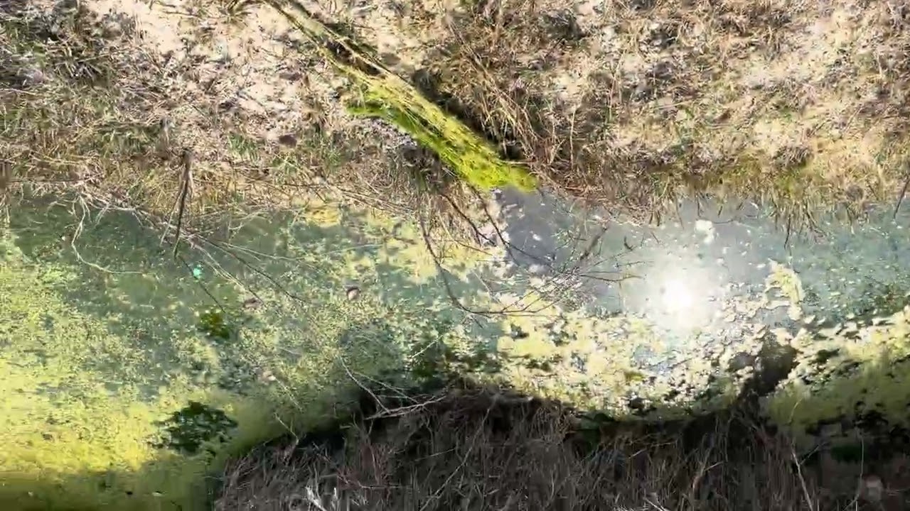 My first blog 😱￼ Rajasthan KishanGhar Chhota sa jungle