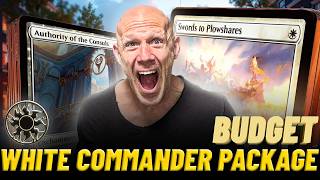 Budget White Staples Every Commander Player Should Own