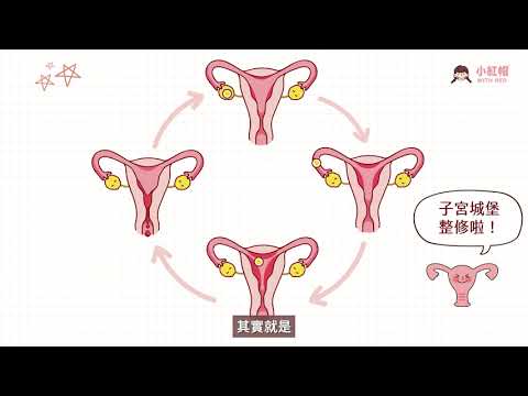 EP.04 月經怎麼來？｜小紅帽的成長任務????線上月經教育課程