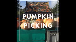 PUMPKIN PICKING | VLOG