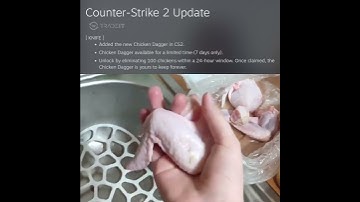 CS2 Chicken Knife