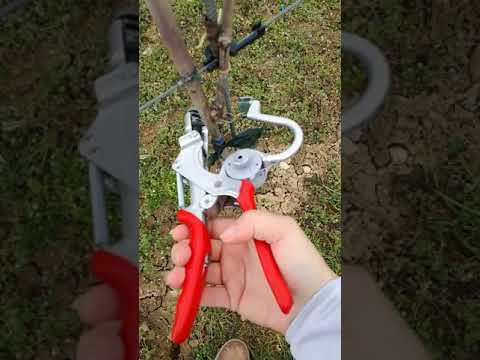 Legat La Vie Germania Youtube