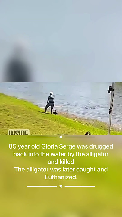 Buaya Menyerang Wanita Lansia di Dekat Pusat Pensiun Florida