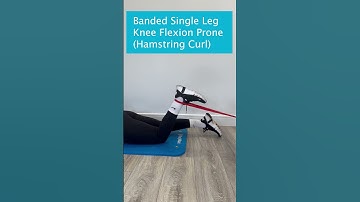 Banded Single Leg Knee Flexion Prone Hamstring Curl
