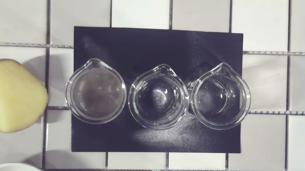 Разложение пероксида водорода под действием каталазы - YouTube