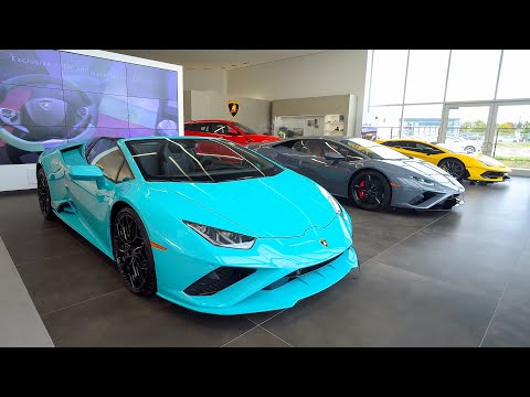 OCTOBER SHOWROOM UPDATE!