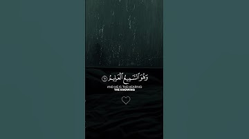 {الَّذِينَ صَبَرُوا وَعَلَىٰ رَبِّهِمْ يَتَوَكَّلُونَ} #سورة_النحل #عبدالرحمن_مسعد #راحة_نفسية#quran
