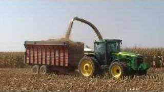 Corn Silage Harvest 2009