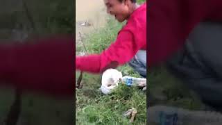 Strike Baung || mancing di sungai
