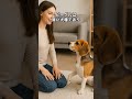 ビーグルの驚きの能力5選    #ビーグル #犬 #動物動画 #犬のいる暮らし #dog