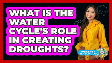 What Is The Water Cycle