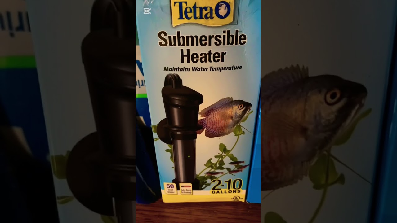 Top Fin 5 gallon bowfront aquarium setup 