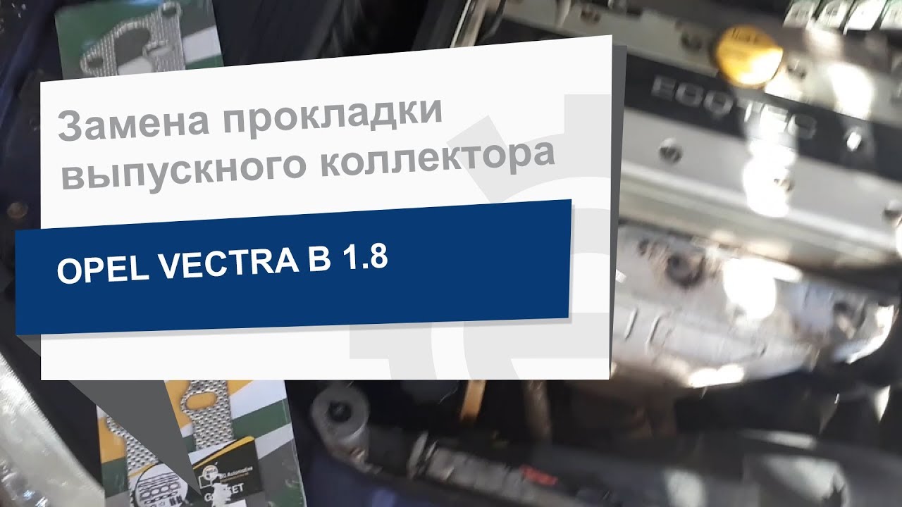 Купить BGA MG5586 по низкой цене в Украине!